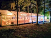 Clear-Marquee-in-Woods
