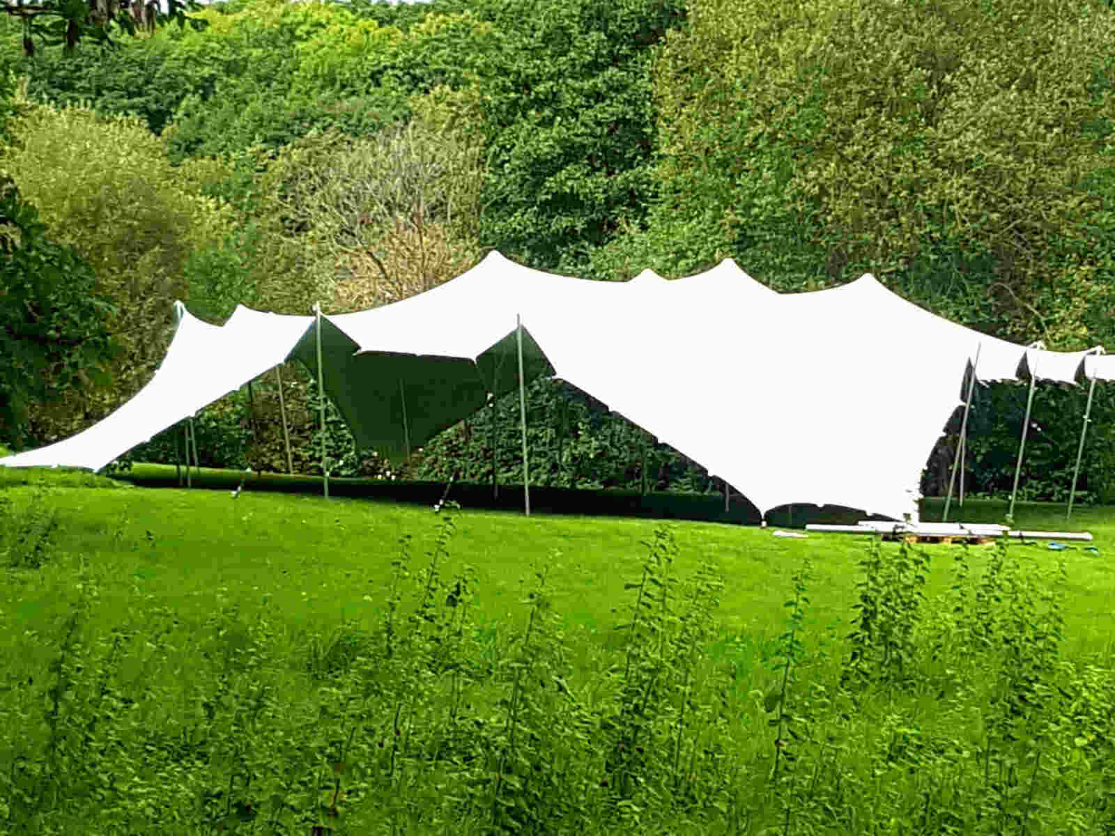 Wedding season- Stretch tent in Surrey